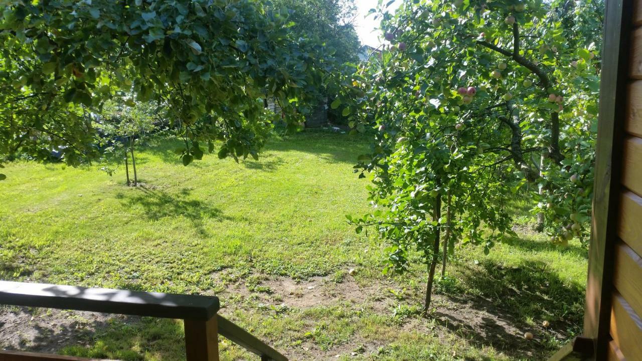 Vasarnamis Zarasuose Villa Zarasai Dış mekan fotoğraf