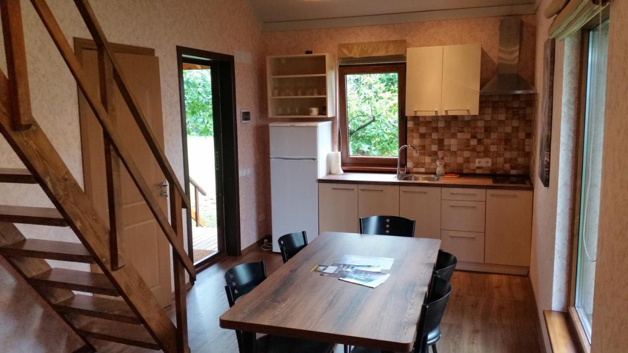 Vasarnamis Zarasuose Villa Zarasai Dış mekan fotoğraf